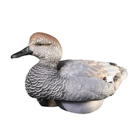 Heyday Lifetime Hydrofoam Gadwalls